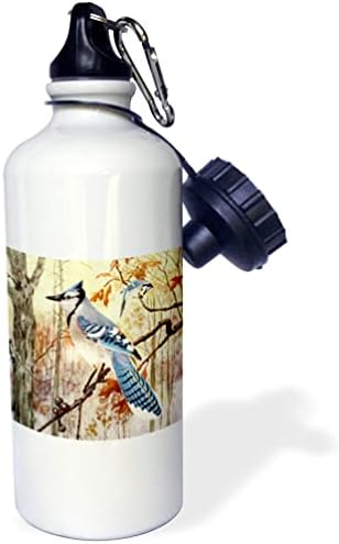 3Drose Blue Jays Art Print - Bluejay ptice u prirodi Vintage Garden ... - Boce s vodom