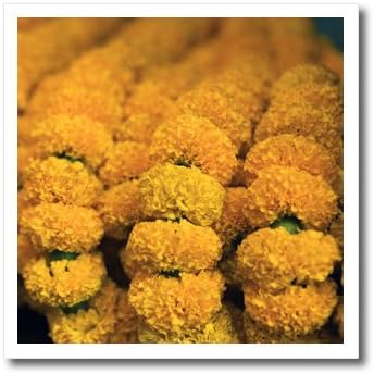 3Drose HT_132657_3 Indija, Calcutta. Kultivirani marigoldi, cvjetni tržište-željezo na prijenosu topline za bijeli materijal,
