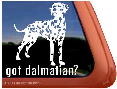 Imate li dalmation? ~ Dalmation Vinil prozor automatska naljepnica naljepnica