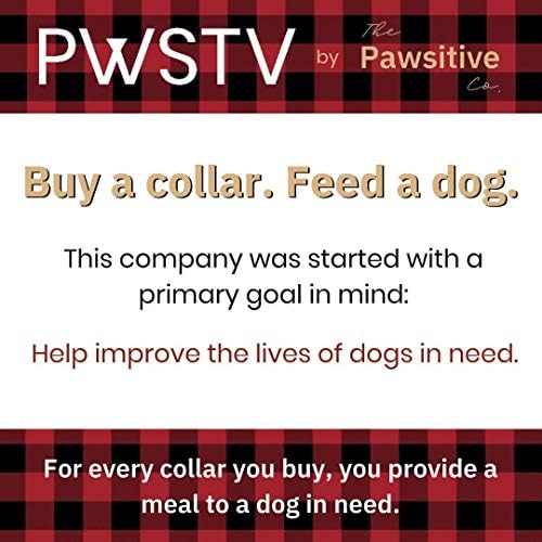PWSTV ovratnik za pse Pawsititive Co. Kupite ovratnik. Nahrani psa. Izdržljivi najlonski ovratnici štenaca i psa - Srednji